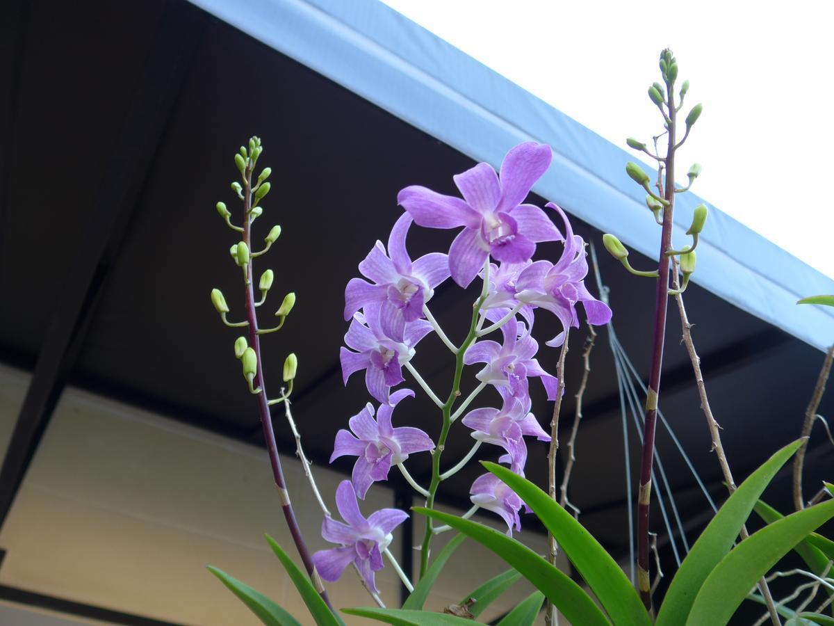 Forum House Hotel Krabi town Exterior foto
